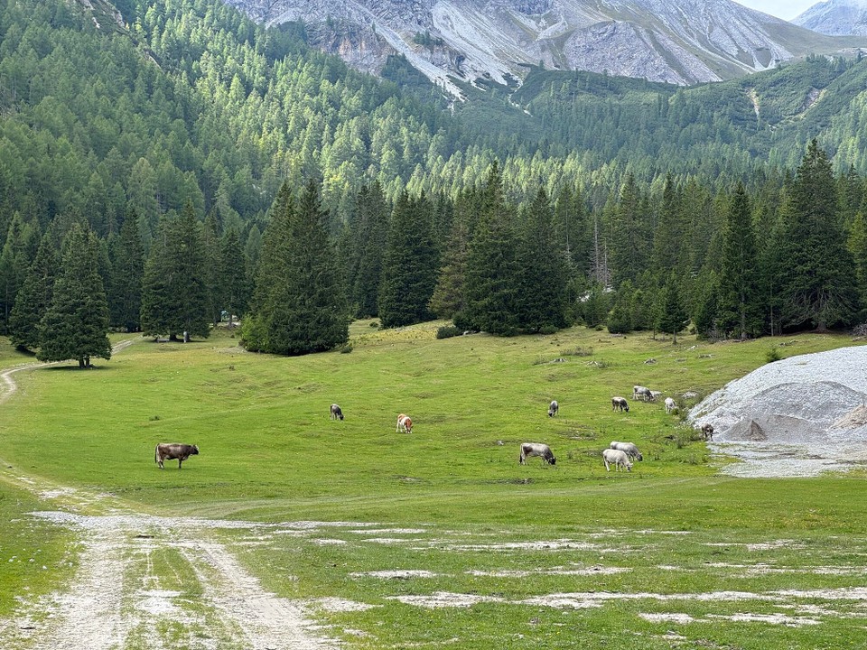 Österreich - Mühlbachl - 