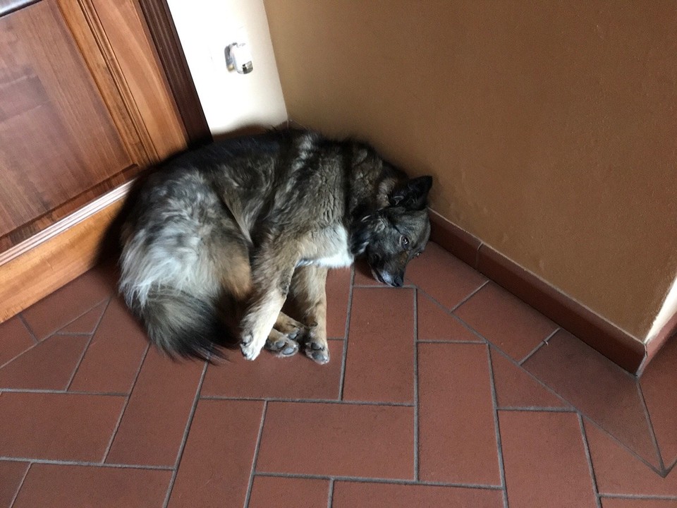 Italien - Florenz - …schlagkaputt