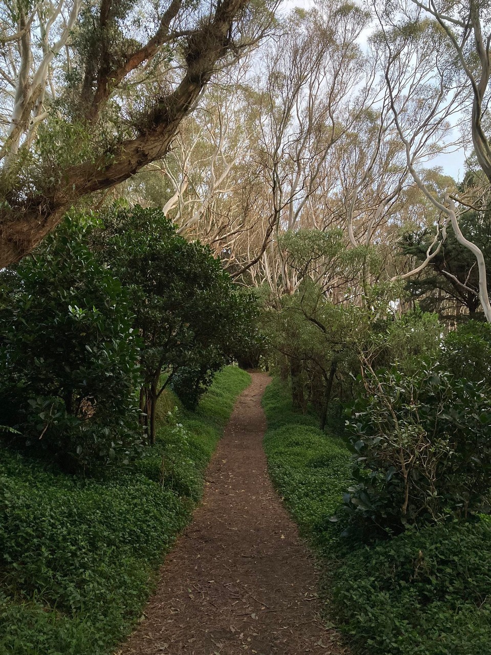 Neuseeland - Wellington - 