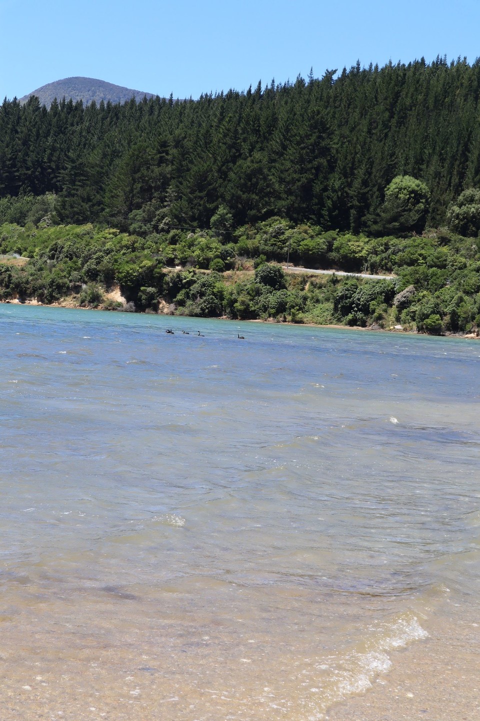 Neuseeland - Picton - 