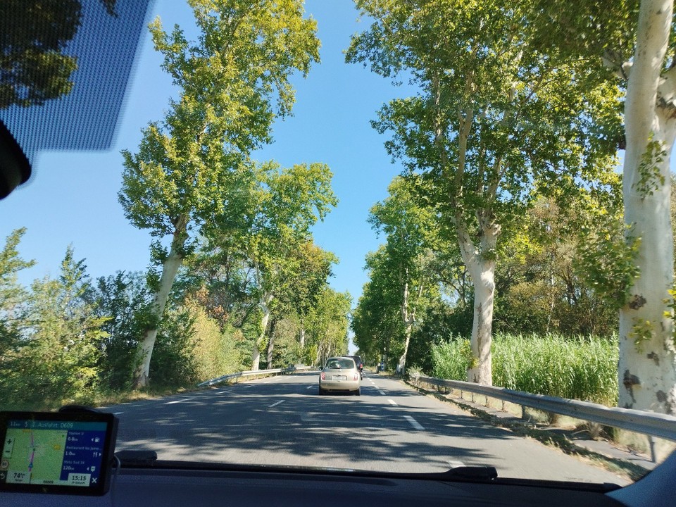 Frankreich - Avignon - 