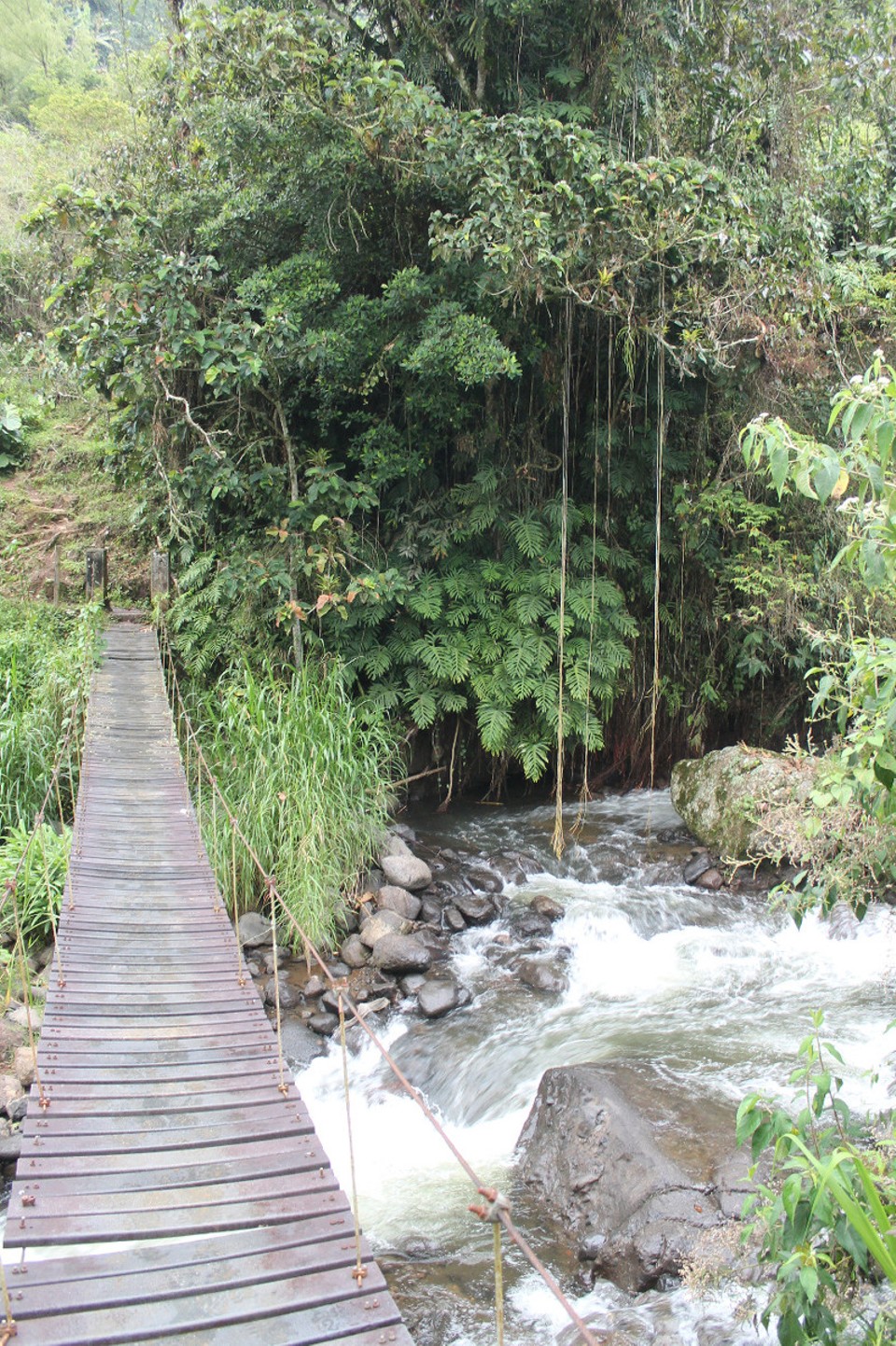 Colombia - Jardín - Diese abenteuerliche Brücke mussten wir überqueren