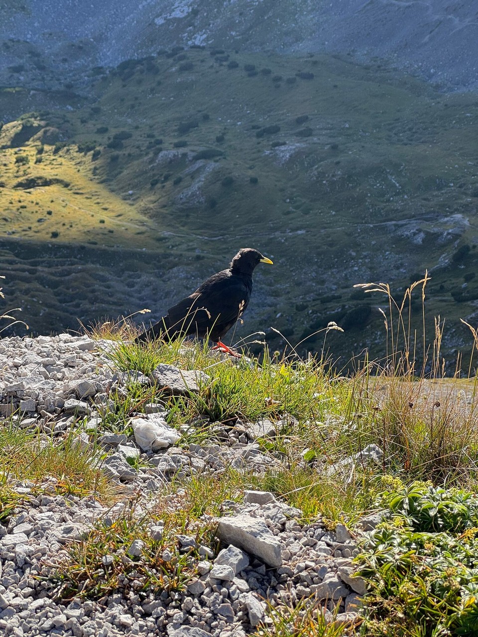 Österreich - Innsbruck - Besuch!