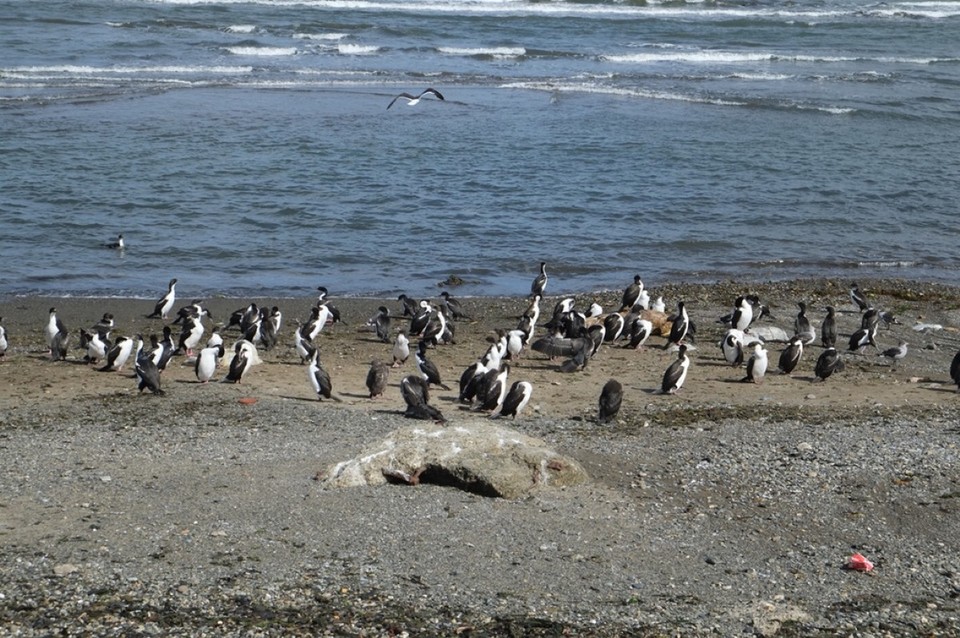 Chile - Punta Arenas & Porvenir - 