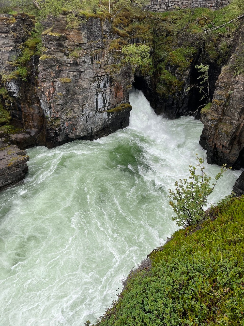 Schweden - Abisko - Der Canyon im Abisko Nationalpark