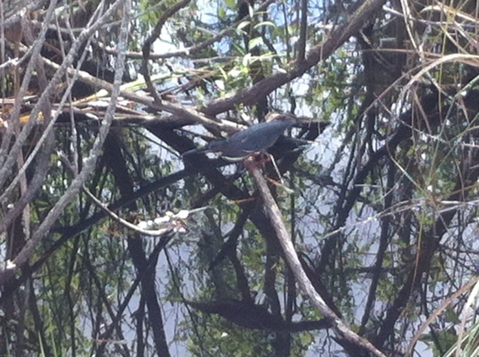 Egyesült Államok - Homestead - 