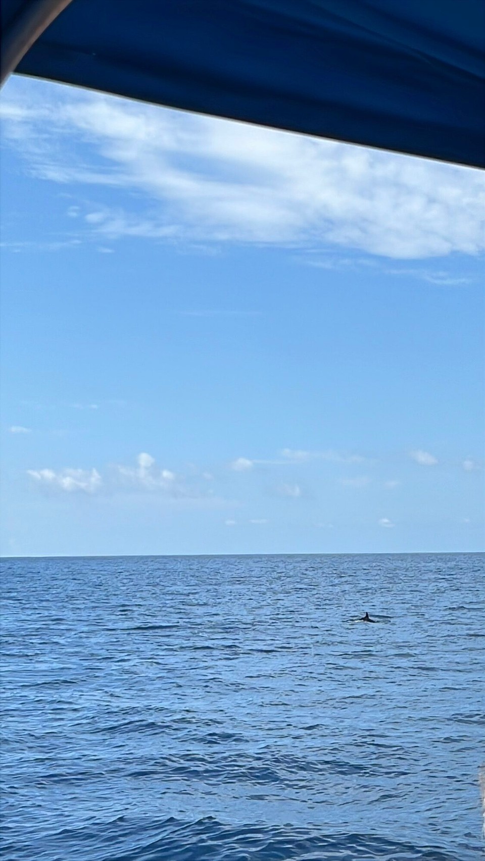 Costa Rica - Uvita - 