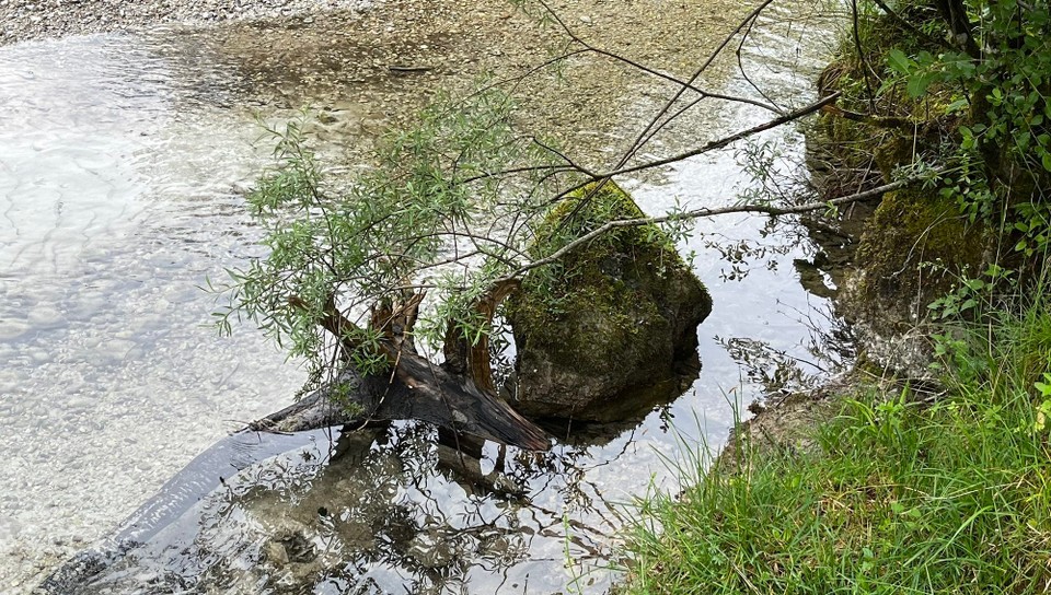 Österreich - Golling an der Salzach - 