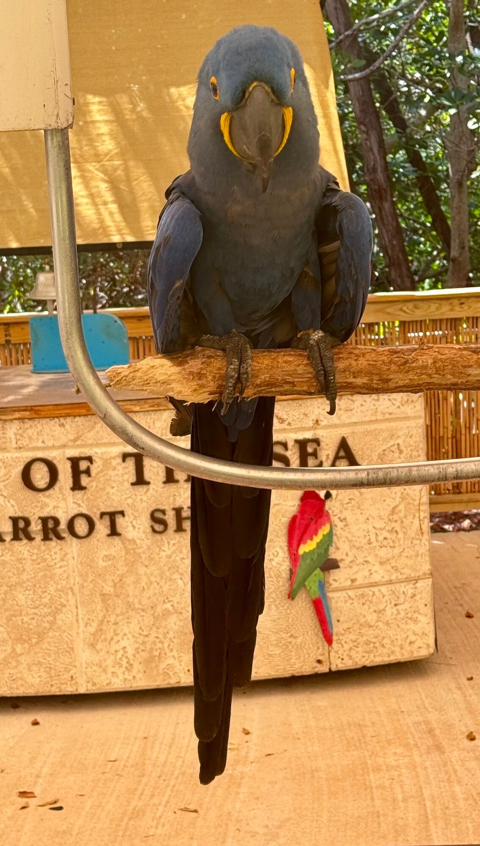 Vereinigte Staaten - Islamorada - 