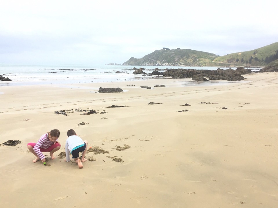 Neuseeland - Kaka Point - Halt am Strand von Kaka.