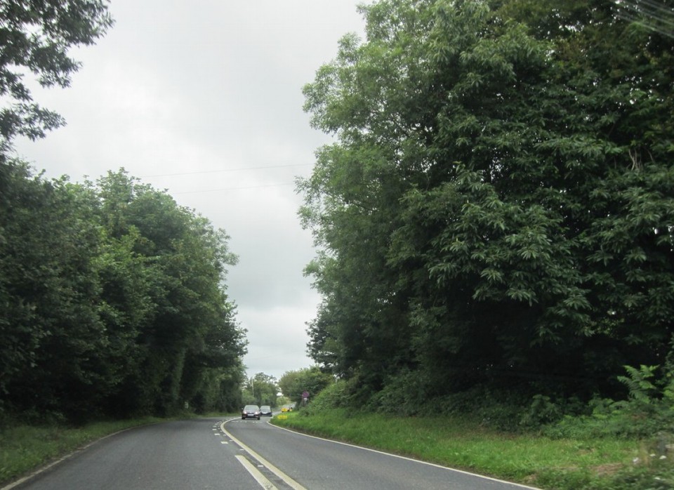 Vereinigtes Königreich - St Austell - Grafschaft Cornwall
