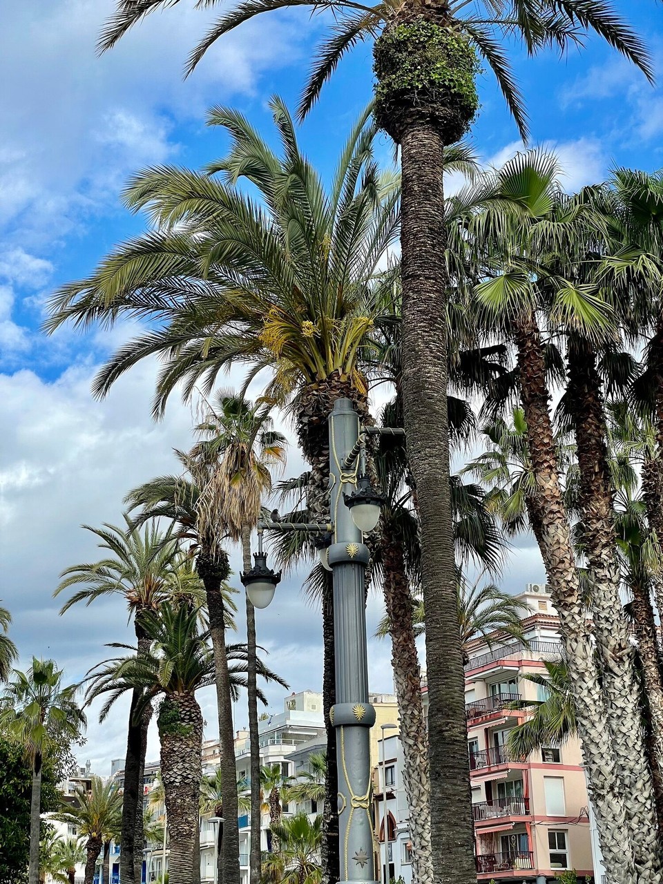 Spanien - Vilafranca del Penedès - 