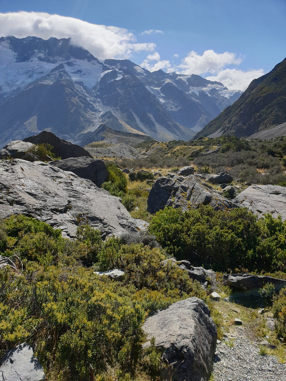 Neuseeland - Aoraki - 