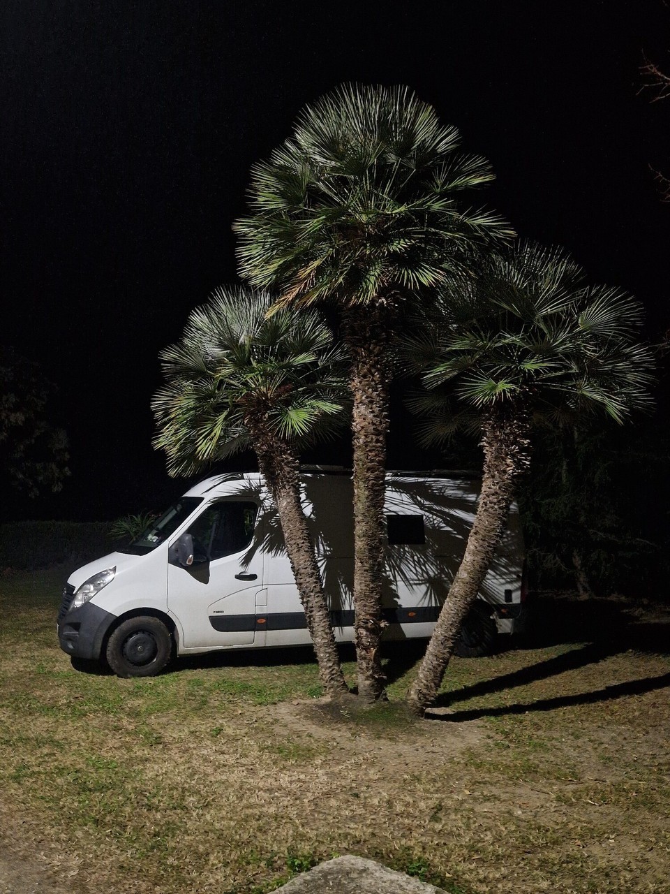 Italien - Catanzaro - …unter Palmen