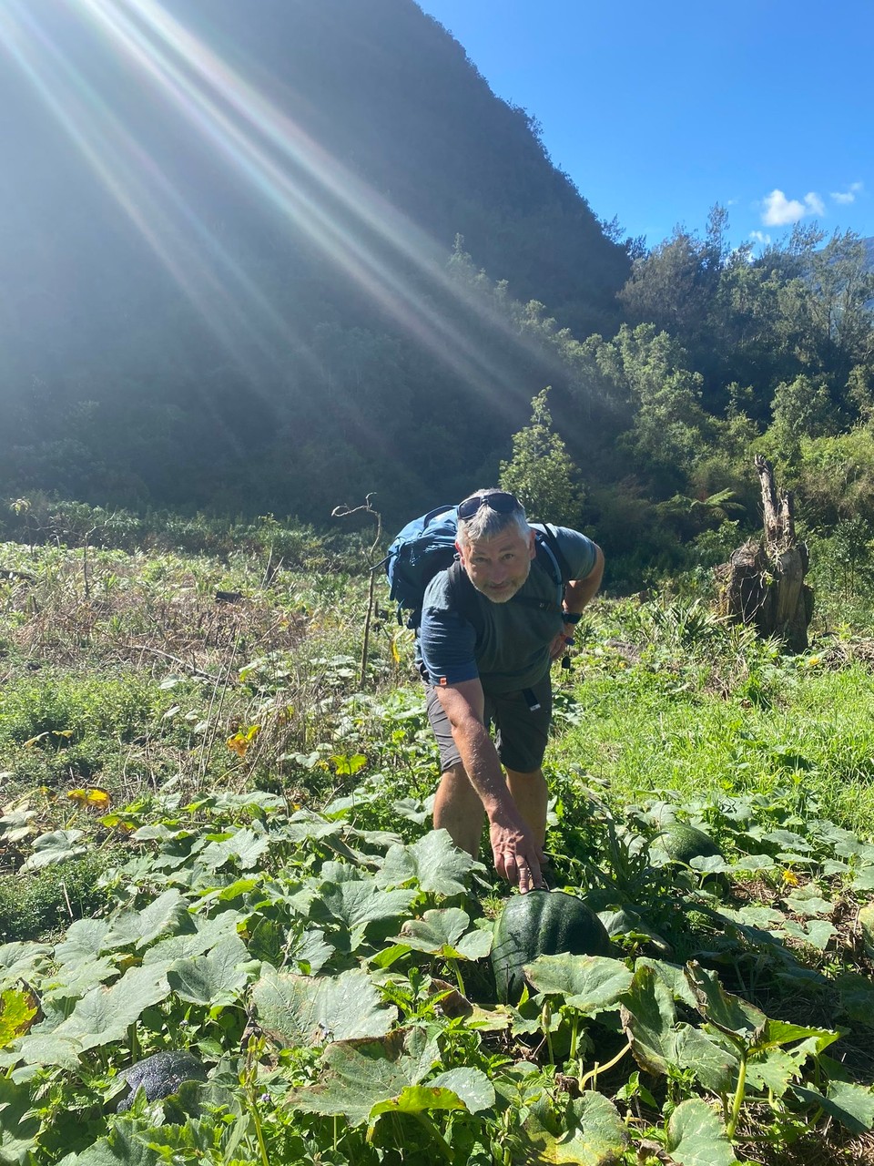 Réunion - Salazie - Melonen?