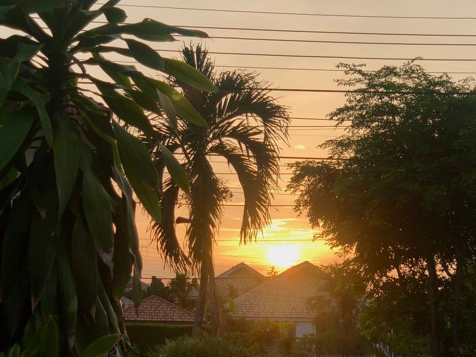 Thailand - Chiang Mai - 