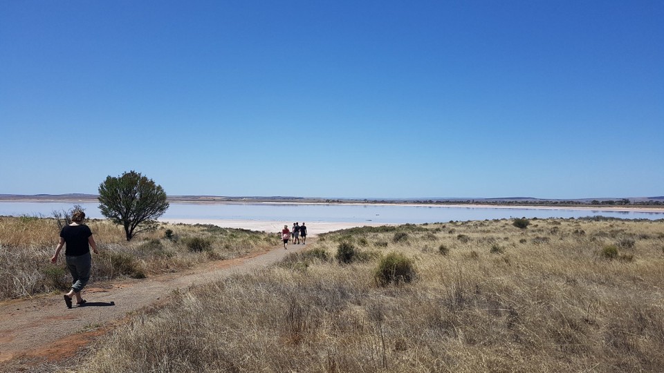 Australien - Adelaide - Ein weiterer Salzsee.