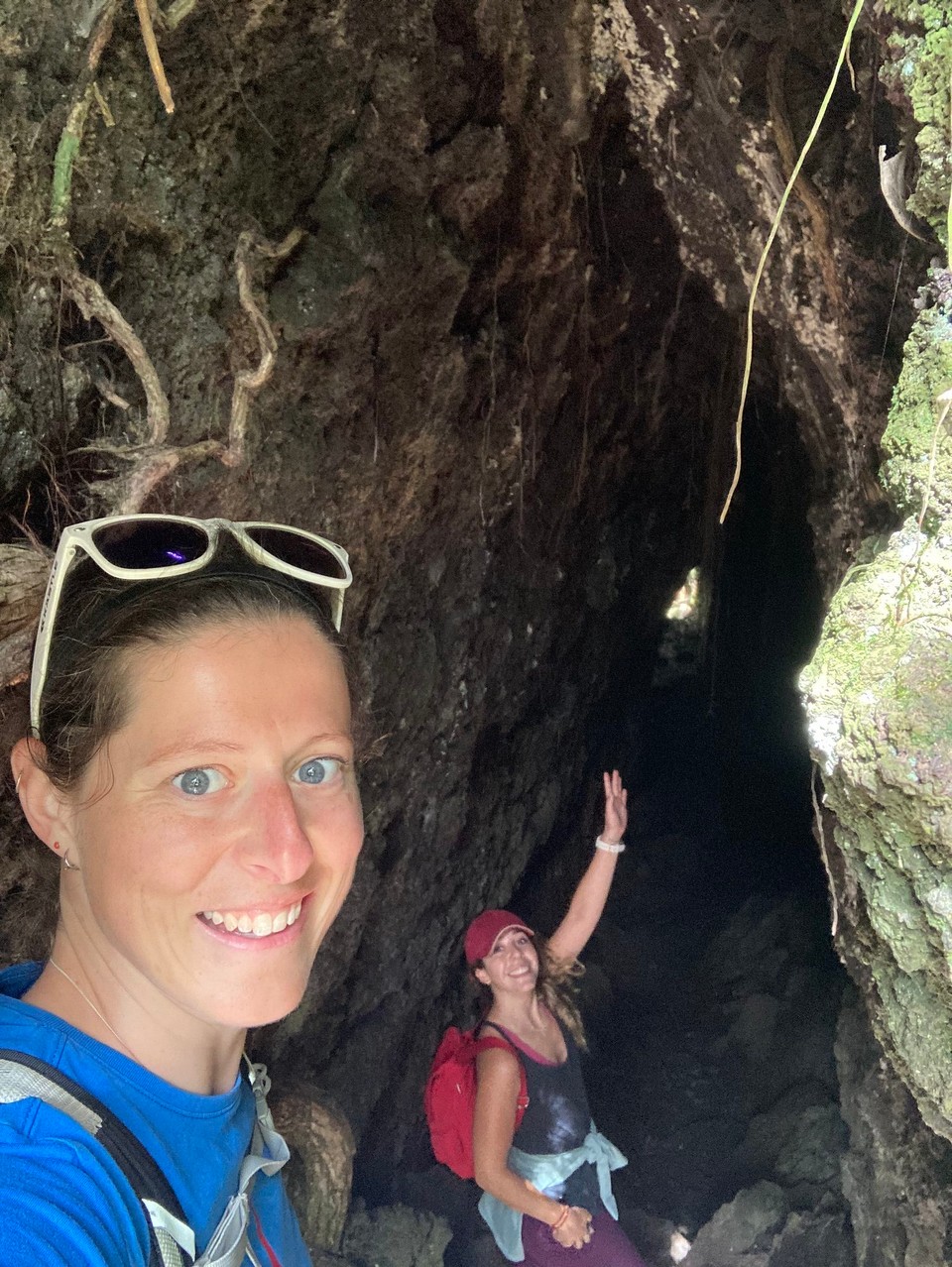 Neuseeland - Waitemata and Gulf Ward - Lava Caves - Lavahöhlen