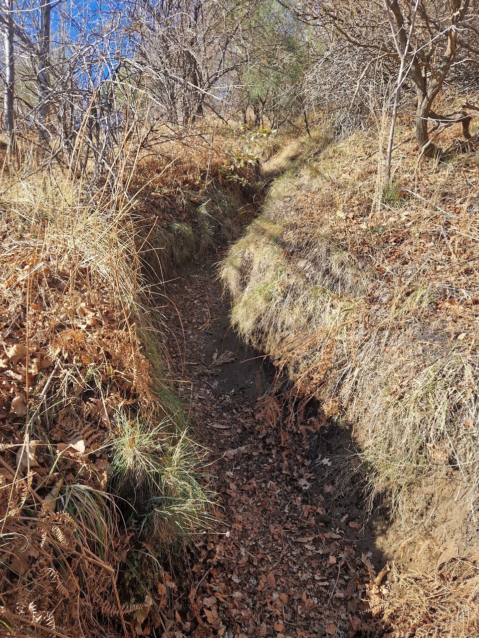 Italien - Zafferana Etnea - …das nenn ich mal ausgetretene Wege
