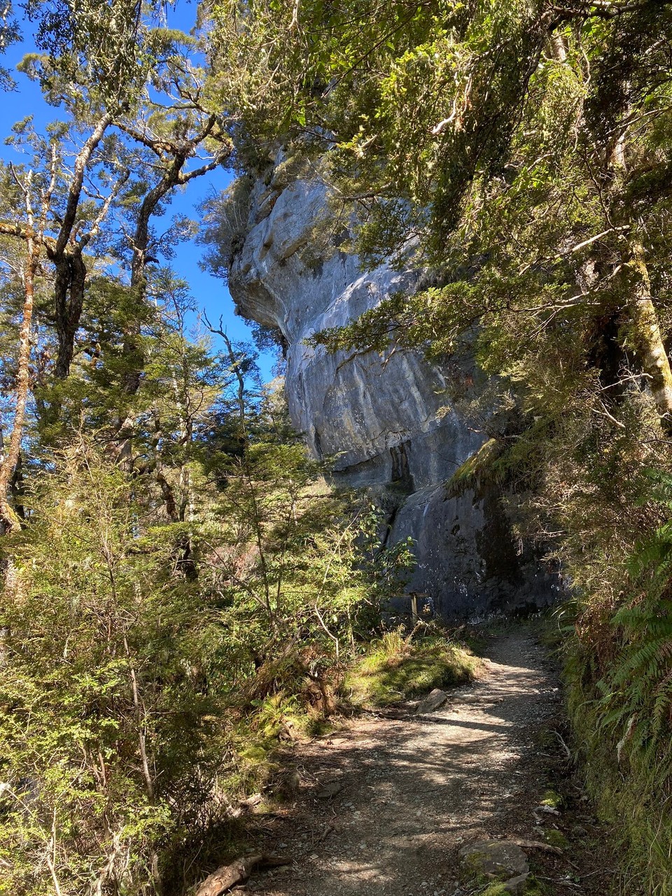 Neuseeland - Fiordland National Park - 