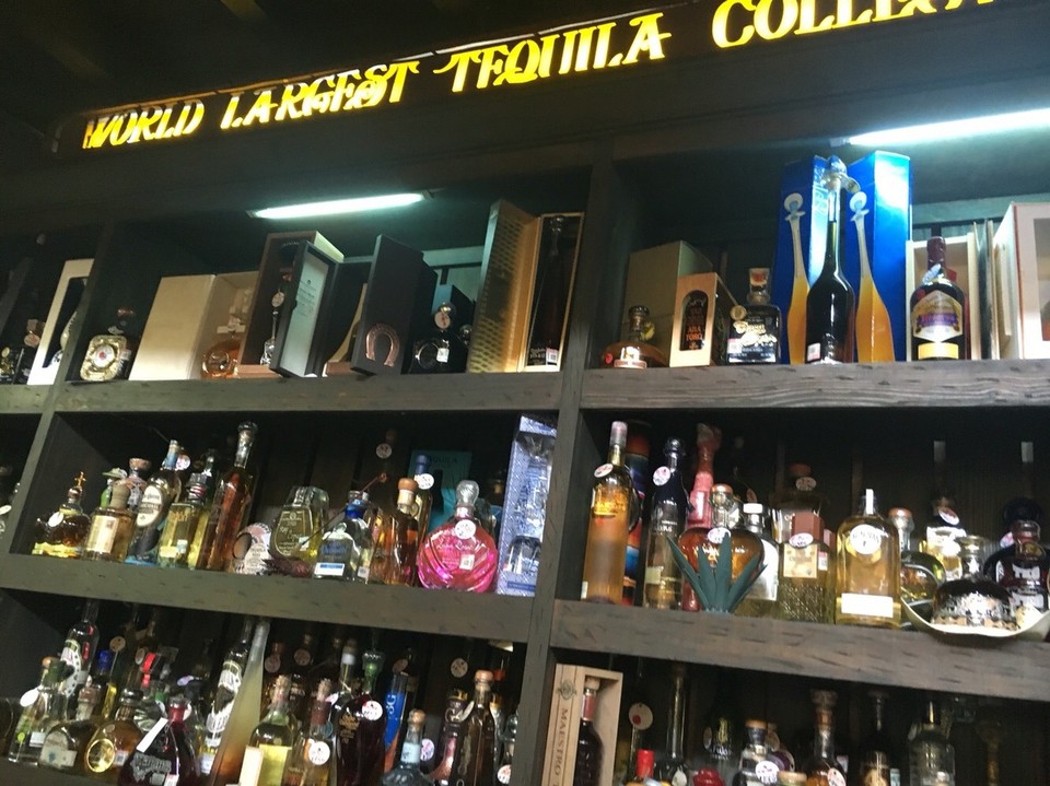 Mexico - Playa del Carmen - Tequila! 