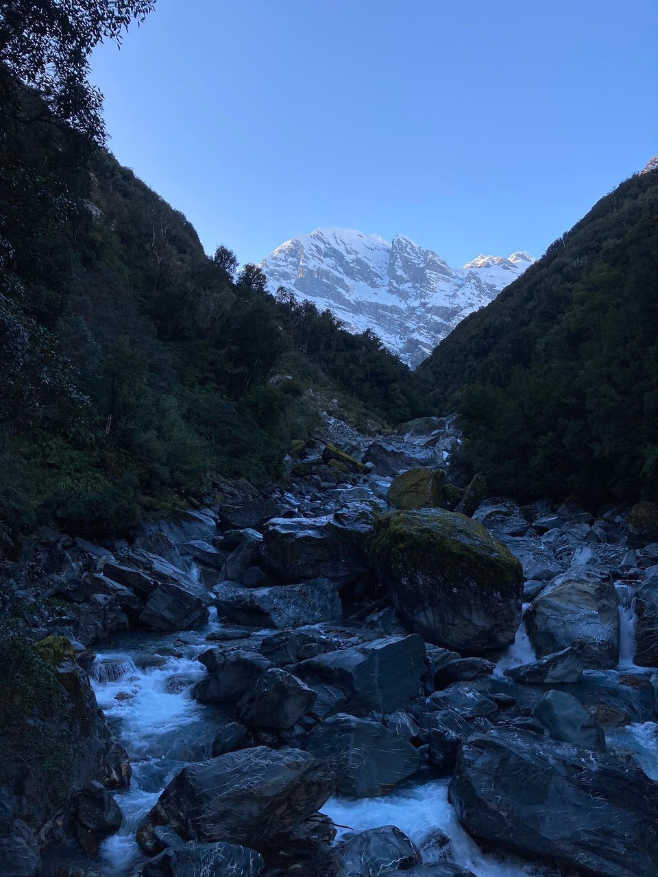 Neuseeland - Whataroa - 