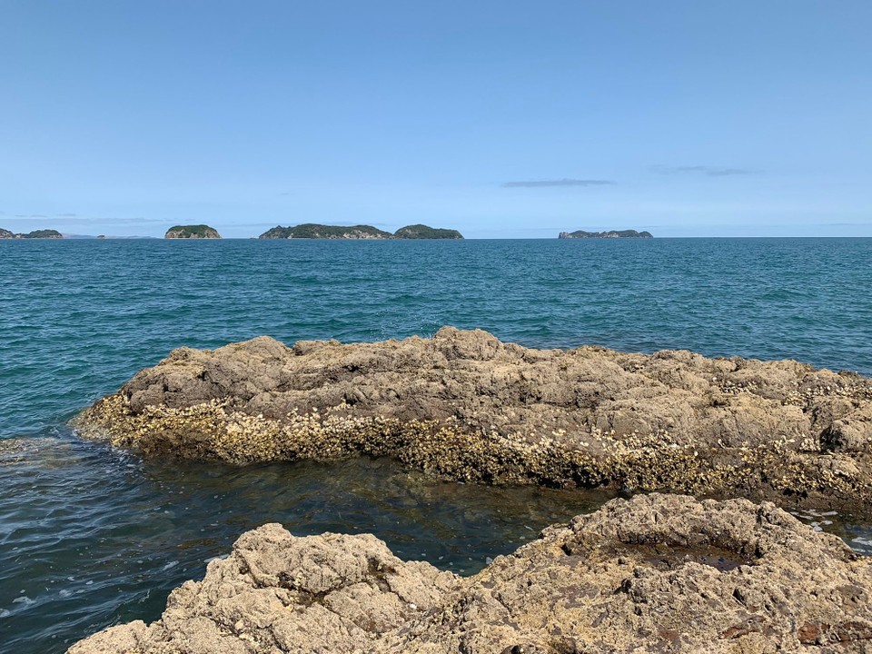 Neuseeland - Amodeo Bay - 