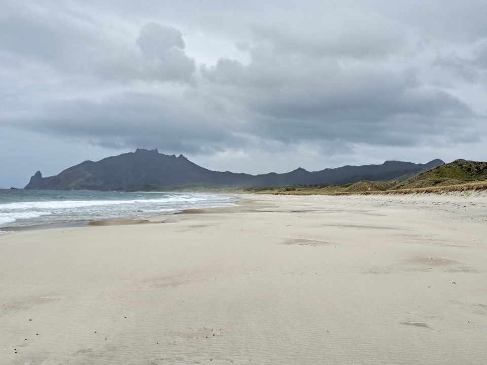 Neuseeland - Whangārei Heads - Zum Schluss nochmals 7km dem Meer entlang.  James gab uns gestern gute Informationen, wann und wie wir alles bei Eppe gehen können.