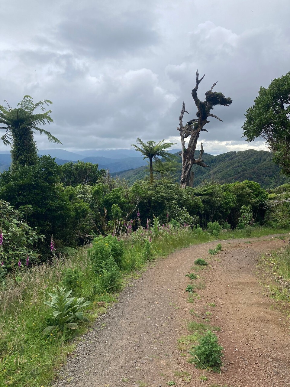 Neuseeland - Upper Hutt - 