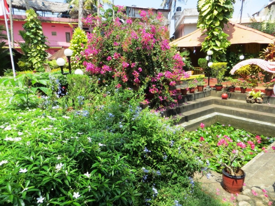Indien - Varkala - 