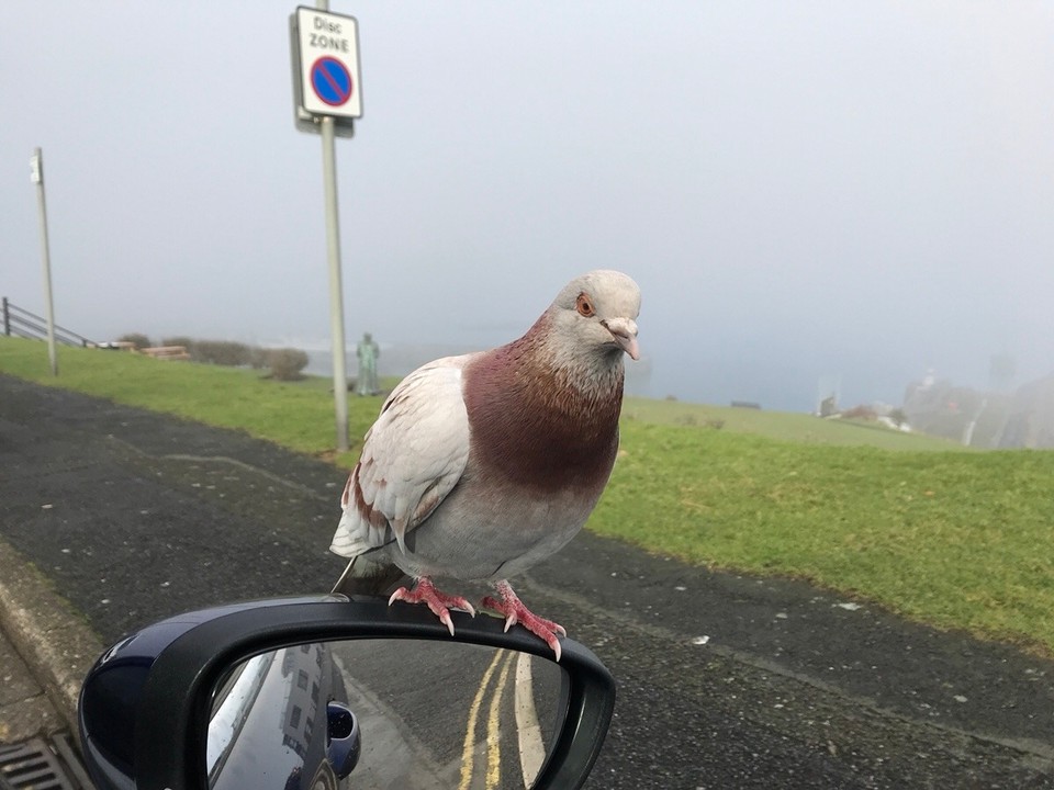 Ireland - Galway - 