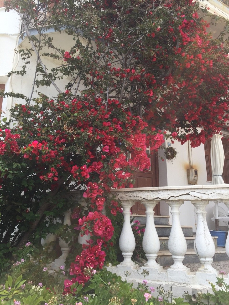 Griechenland - Parga - 