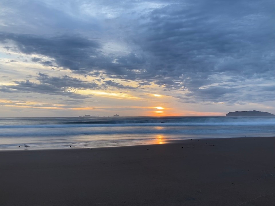 Neuseeland - Whitianga - 