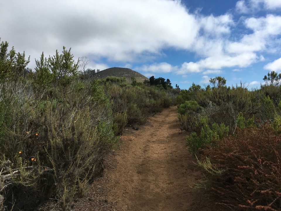 USA - San Luis Obispo - und wieder fast ganz unten =) 