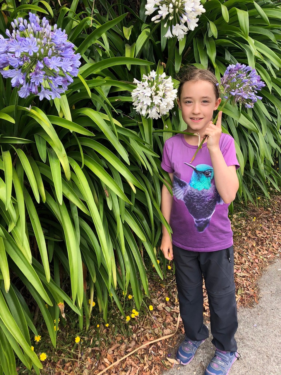 Neuseeland - Waitomo Central - Wir haben schöne Blumen 🌷 gesehen. 
