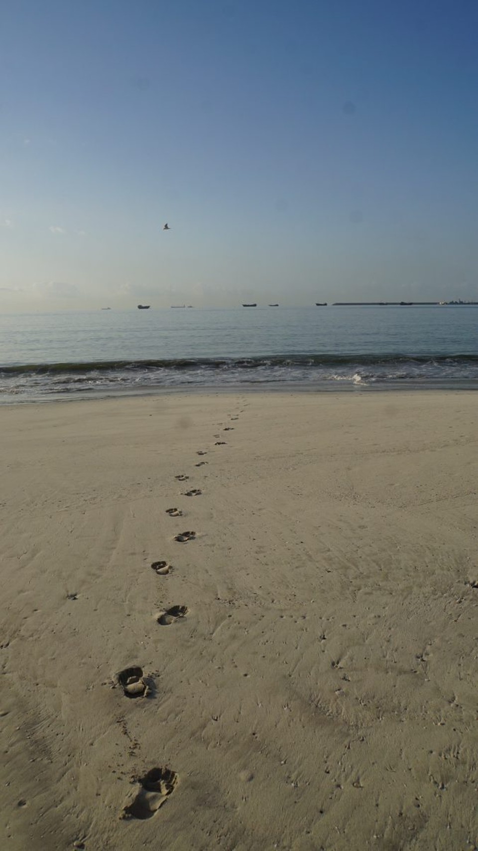 Oman -  - Meine Spuren im Sand