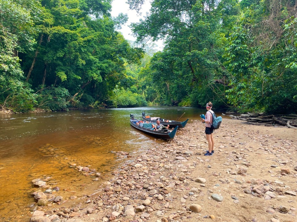 Malaysia - Jerantut - 