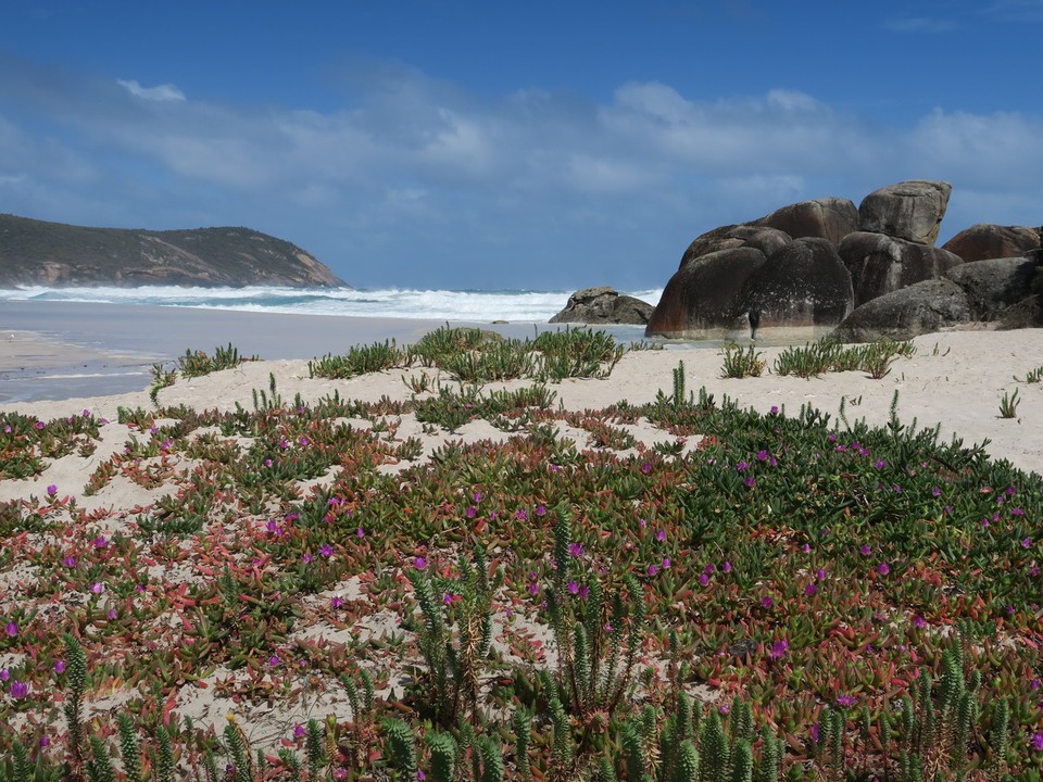 Australia - Wilsons Promontory - Squeaky beach