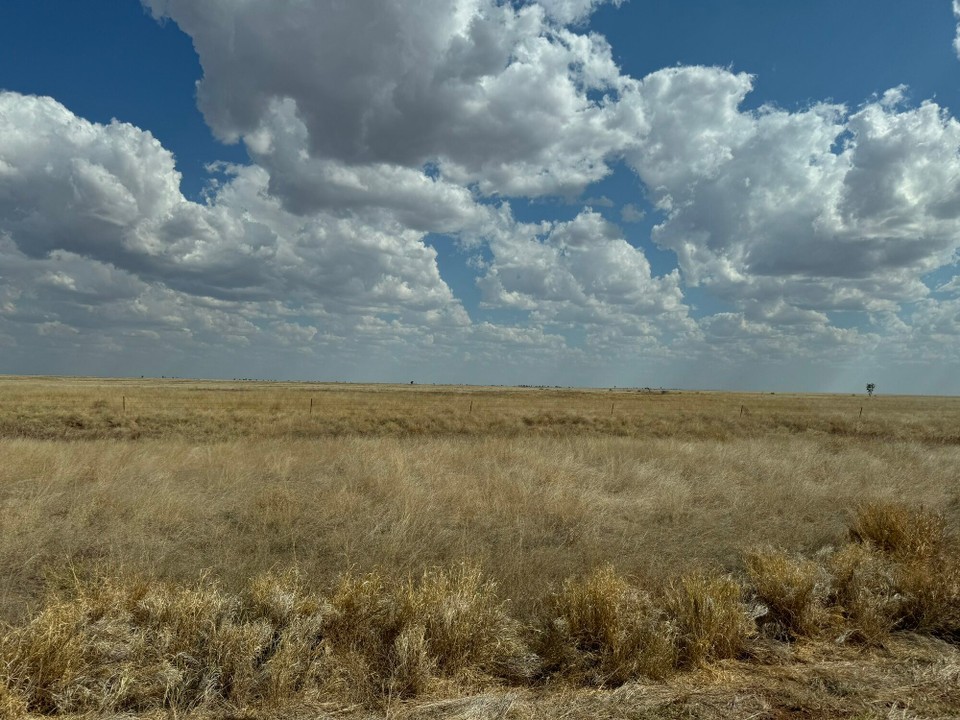 Australien - Tablelands - Wit und breit eifach nix.