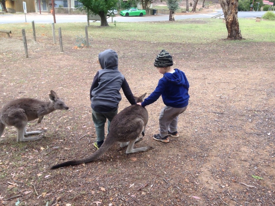 Australia - Burrinjuck - 