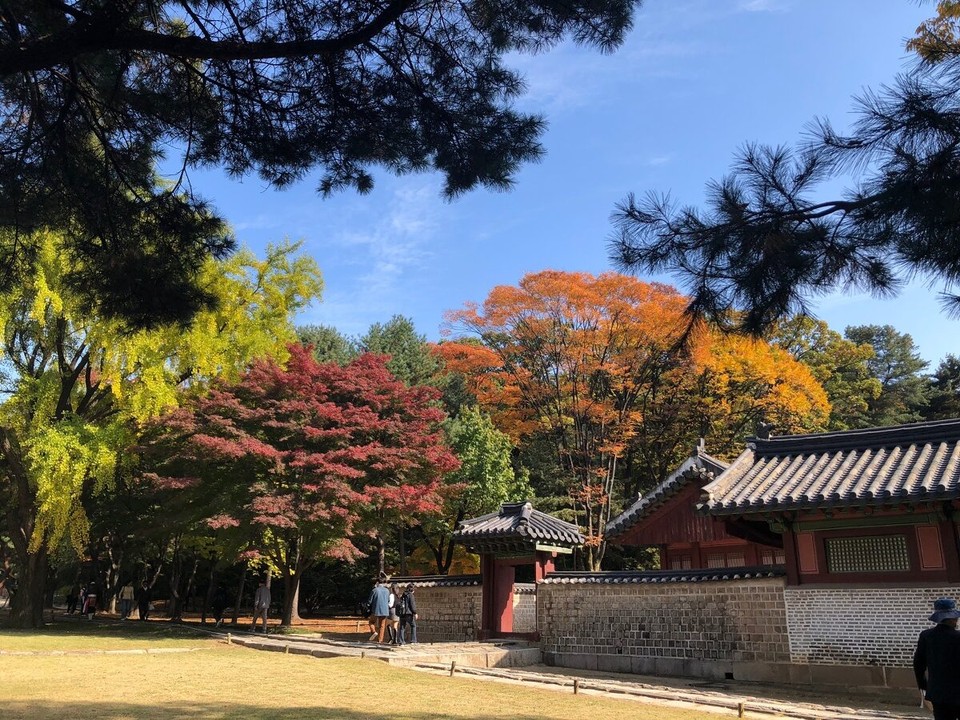 대한민국 - 서울특별시 - Im Jongmyo Shrine (en gueterhaltene königliche Konfuzianische Schrein)
