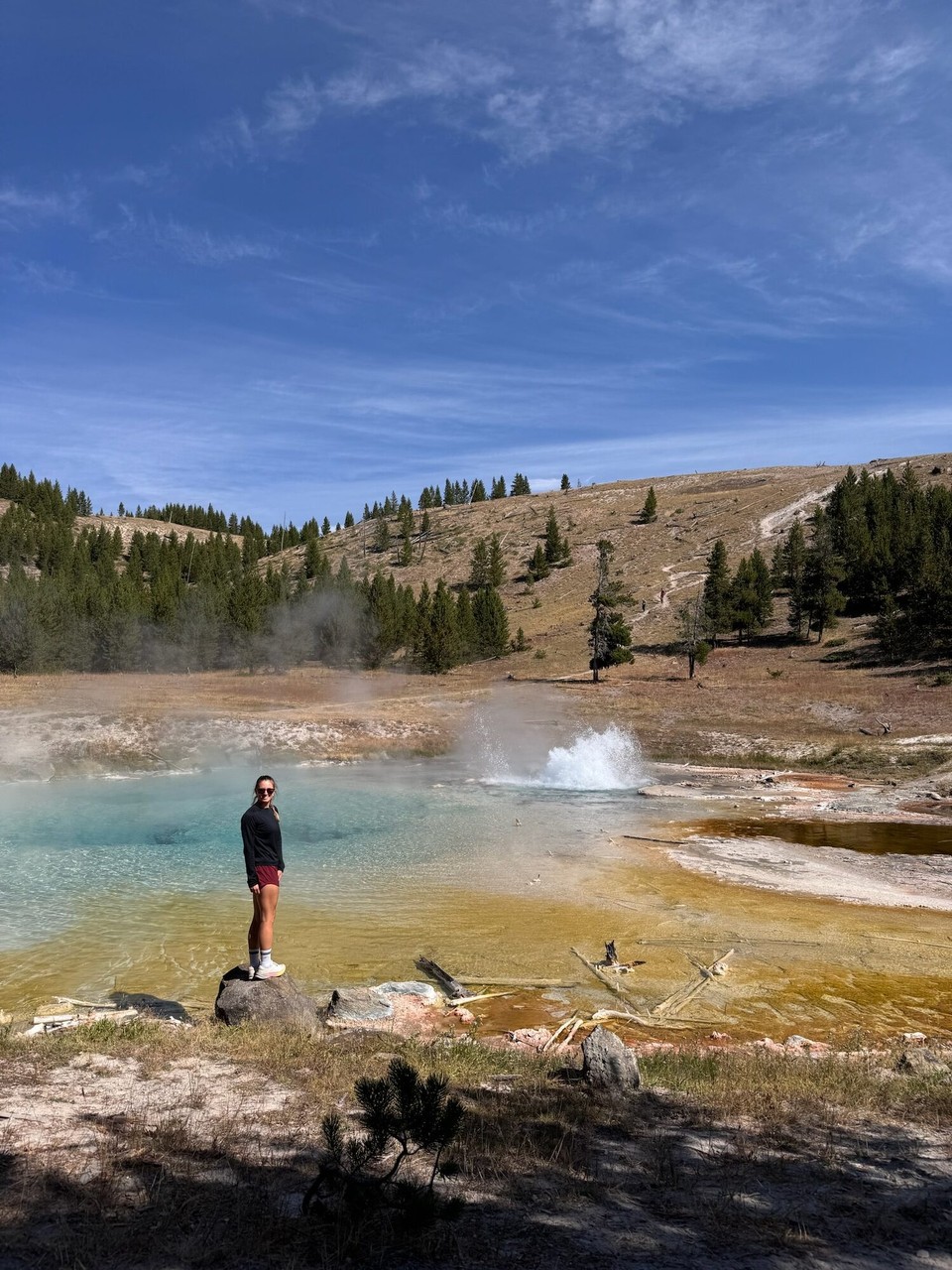 Vereinigte Staaten - Yellowstone National Park - 