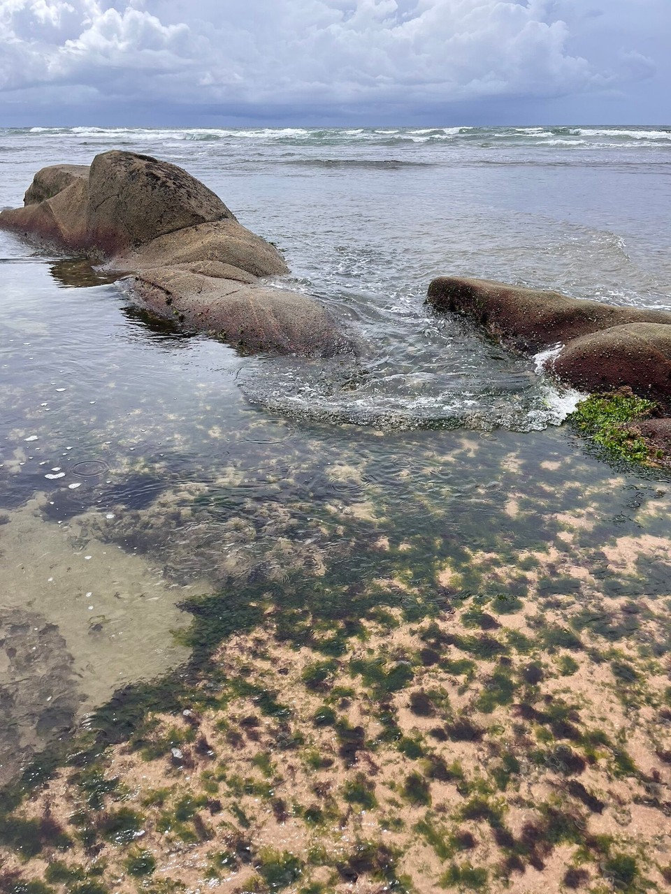Brasilien -  - Frei Ebbe freigelegte Felsformationen