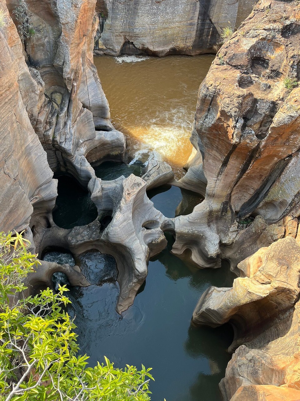 South Africa - Randburg - 