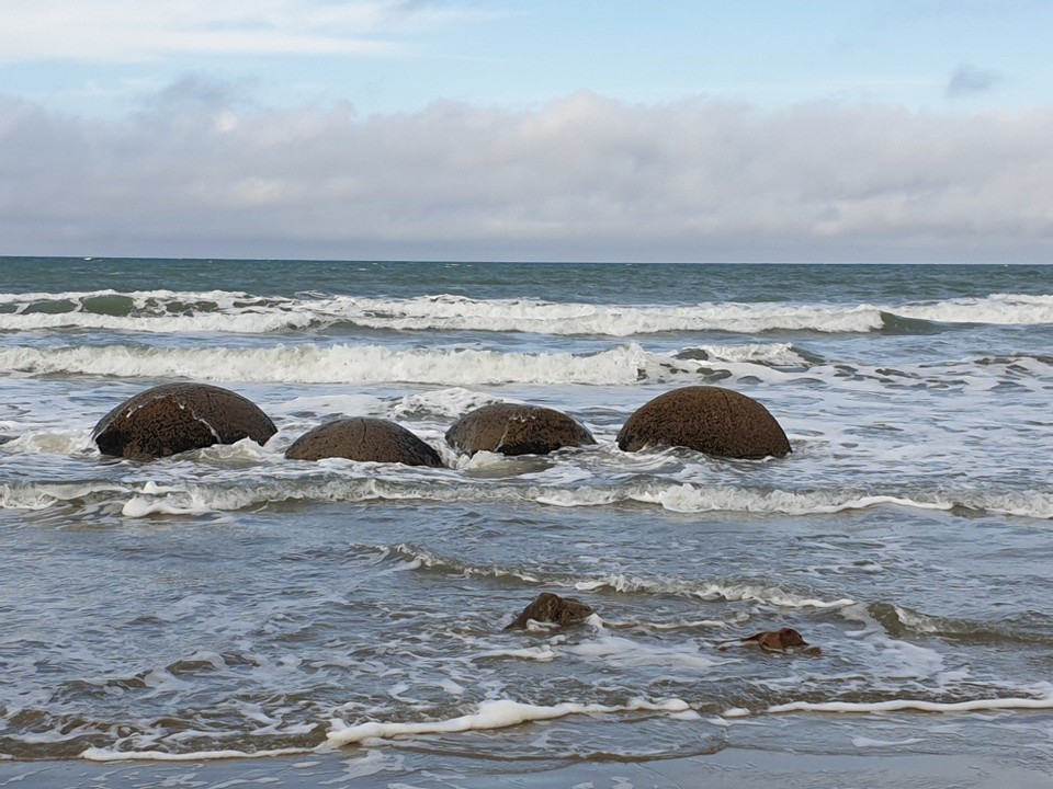 Neuseeland - Moeraki - 