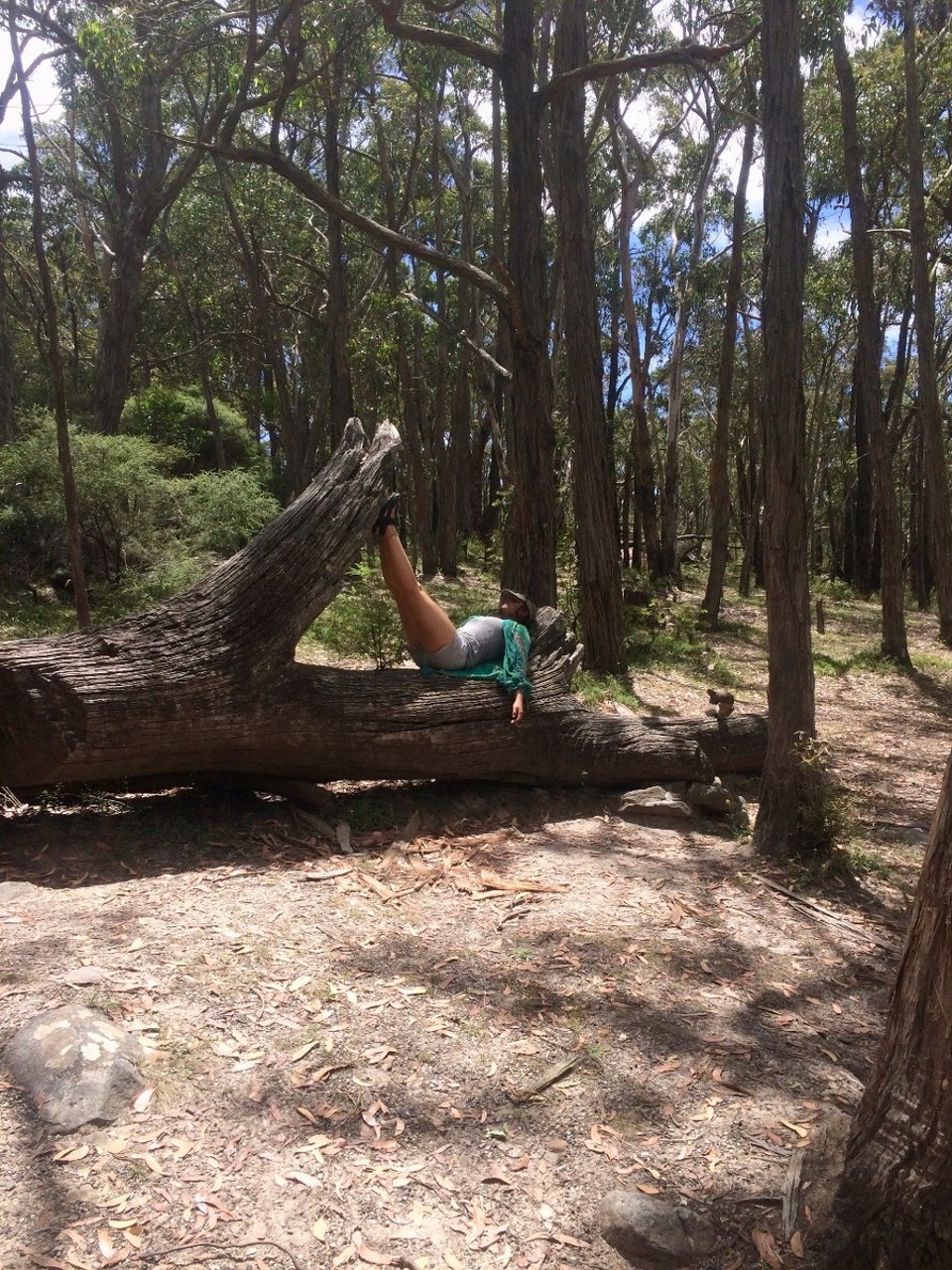 Australia - Glenisla - When a teenager is bored...
Right of Chrissi was a lookout. Where I saw my first snake!! Very calmly crawling between dead leafs into a crack in the rocks. And then I went back to the car and waited for the boys...