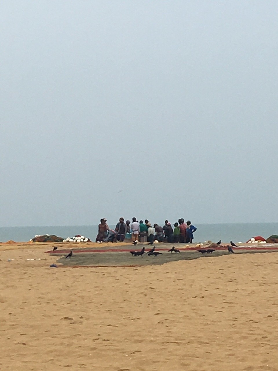 Sri Lanka - Negombo - 