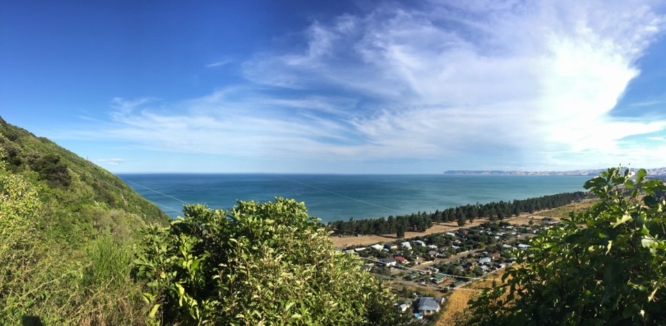 Neuseeland - Waikawa - 