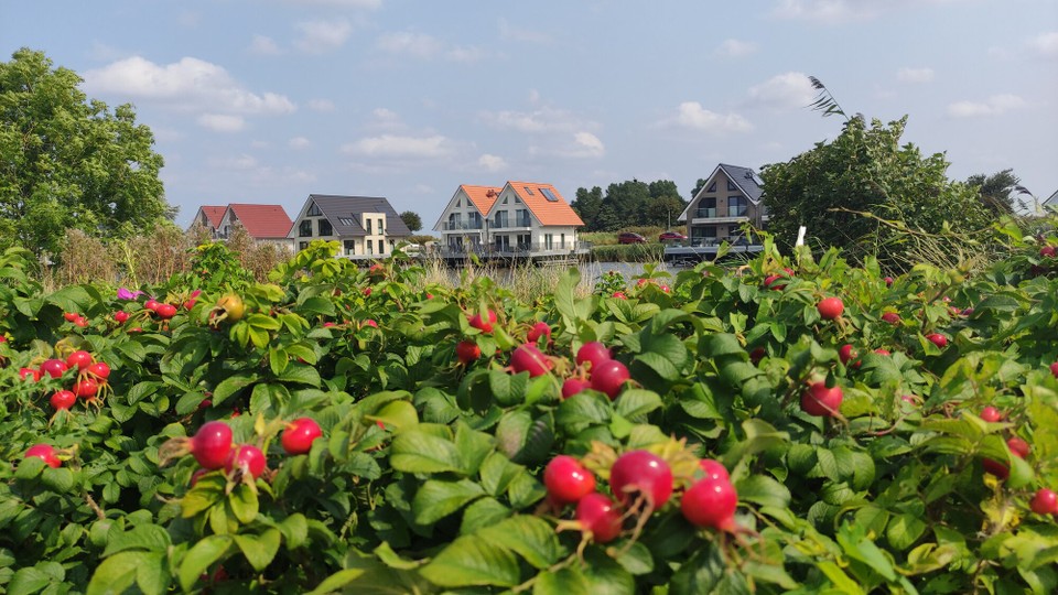 Deutschland - Wittmund - 