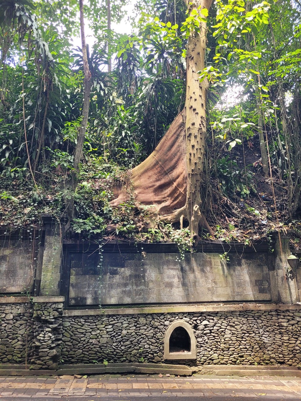 Indonesien - Ubud - 